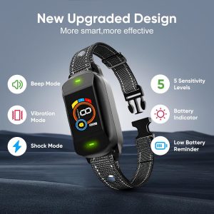 BC04 的替代视图