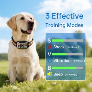 GPS Dog Collar with 3 Correction Mode,Wireless Dog Fence System with Open Outdoor IPX7 Waterproof(Orange White) 的替代视图
